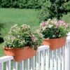 2' X 4' Railing Planter, 25"