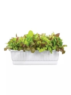 31" Self-Watering Window Box -GardenPro Shop GS36523 01Z 3 4