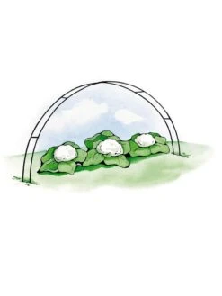 Super Hoops, Set Of 6 8 Super Hoops, Set Of 6 -GardenPro Shop GS39423 02S 3 4