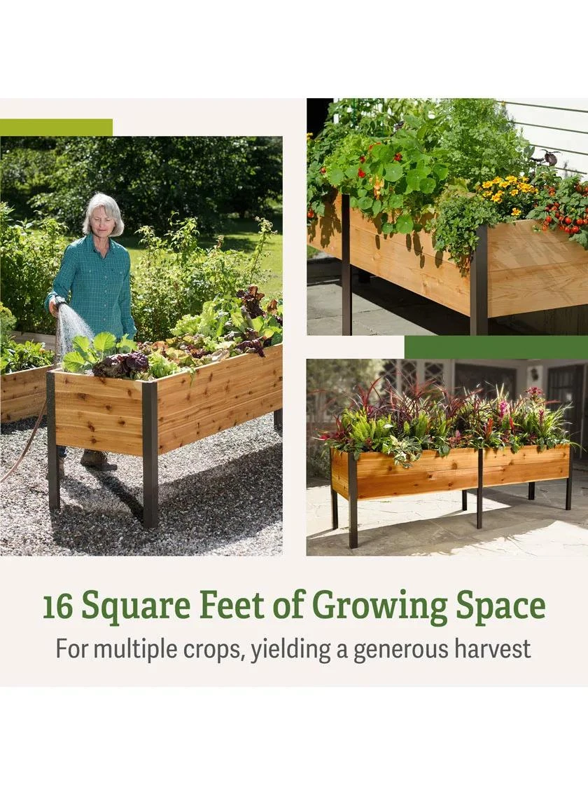 Self-Watering Elevated Planter Box, 2' X 8' 3 Self-Watering Elevated Planter Box, 2' X 8' - Image 3