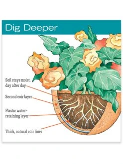 AquaSav™ Replacement Liners, Set Of 3 -GardenPro Shop hiw 38 583