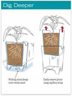Stoneware Self-Watering Windowsill Planters, Set Of 2 -GardenPro Shop hiw 8593943 jpg